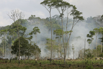 Οι φωτογραφίες από τον Αμαζόνιο που καίγεται κάνουν το γύρο του κόσμου