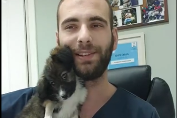 Θάνος Δερμιτζάκης: Ο κτηνίατρος από τις Σέρρες που κάνει μουσικοθεραπεία σε ένα μικρό κουταβάκι