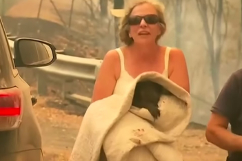 Η συγκλονιστική στιγμή που μία γυναίκα σώζει κοάλα από τις φλόγες