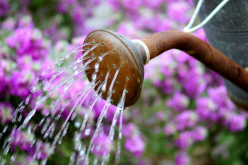 Ένας έξυπνος τρόπος για να ποτίζουμε τα φυτά μας σε χρόνο μηδέν και με ελάχιστο νερό