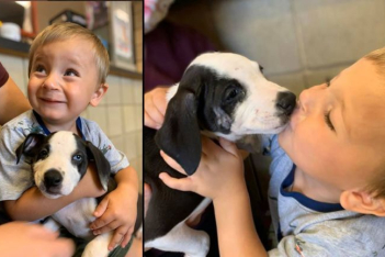 Ο αξιολάτρευτος 2χρονος, Bentley Boyers υιοθέτησε σκυλάκι με την ίδια σπάνια γενετική πάθηση με εκείνον
