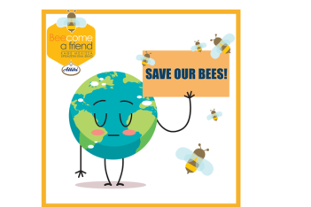 Κάθε μέλισσα χρειάζεται ένα φίλο!