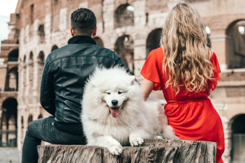 Η απόκτηση σκύλου θα μπορούσε να κάνει τη σχέση σας πιο δυνατή, σύμφωνα με μια μελέτη