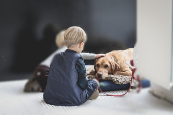 Παγκόσμια Ημέρα Αυτισμού: Πώς ένας σκύλος «έσωσε» τη ζωή ενός αγοριού με αυτισμό