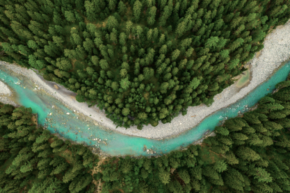 Η L'ORÉAL HELLAS και πάλι στο πλευρό των περιοχών που επλήγησαν από τις καταστροφικές πυρκαγιές του 2018 στην Αττική