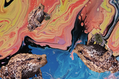 Tι έγινε και οι celebrities άρχισαν να καπνίζουν δηλητήριο βατράχων;