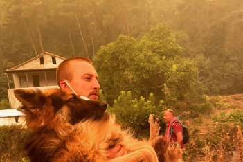 «Αυτονόητο να βοηθήσεις μια τέτοια ψυχή»: Εθελοντής έσωσε από τη φωτιά λυκόσκυλο που εγκατέλειψε o ιδιοκτήτης του