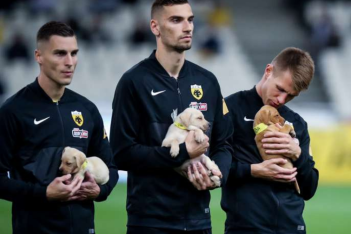 «Υιοθετούμε τα αδέσποτα»: Παίκτες της ΑΕΚ αγκαλιά με κουτάβια και το πιο όμορφο μήνυμα