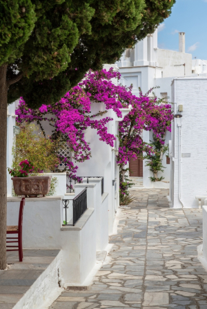 Στην Τήνο, ένα Σχολείο Δεύτερης Ευκαιρίας ανοίγει ξανά τον δρόμο της μαθησης στην ενήλικη ζωή