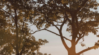 8 πράγματα που οι συναισθηματικά ευφυείς άνθρωποι δεν κάνουν ποτέ όταν ένας φίλος περνάει δύσκολα