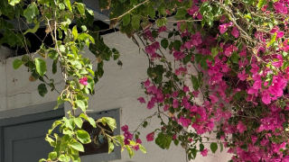 Ένα ελληνικό beauty brand δημιουργεί waterless προϊόντα με σεβασμό στη φύση - Οι ιδρύτριες μιλούν στο JennyGr για την φιλοσοφία του clean beauty