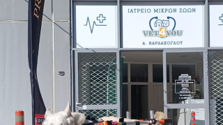 αναπηρικά αμαξίδια ζώα αθήνα