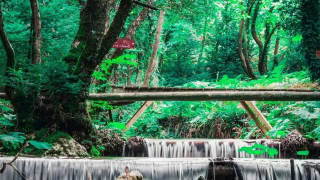 Εξόρμηση με την οικογένεια σε τέσσερα μαγευτικά χωριά κοντά στην Αθήνα