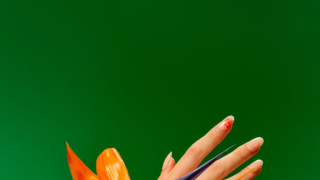 Painted Paradise: Τέσσερα εξαιρετικά λεπτά ρολόγια από την SWATCH για να αναβαθμίσεις την καθημερινότητά σου με μια τροπική νότα